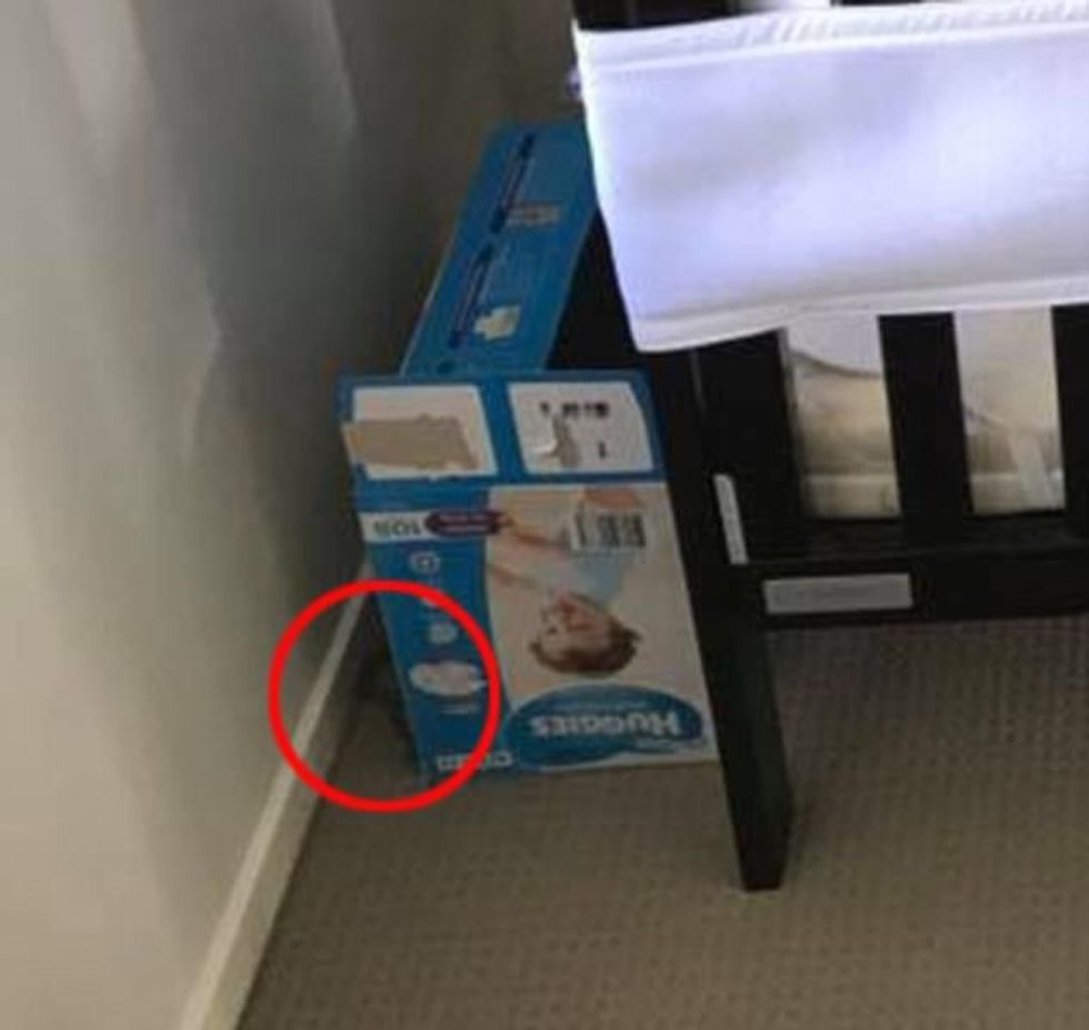 Vështirë të dallohet gjarpri i rrezikshëm që ndodhet pranë shtratit të fëmijës foto 3