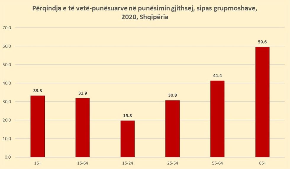 vetepunesimi shqiperi