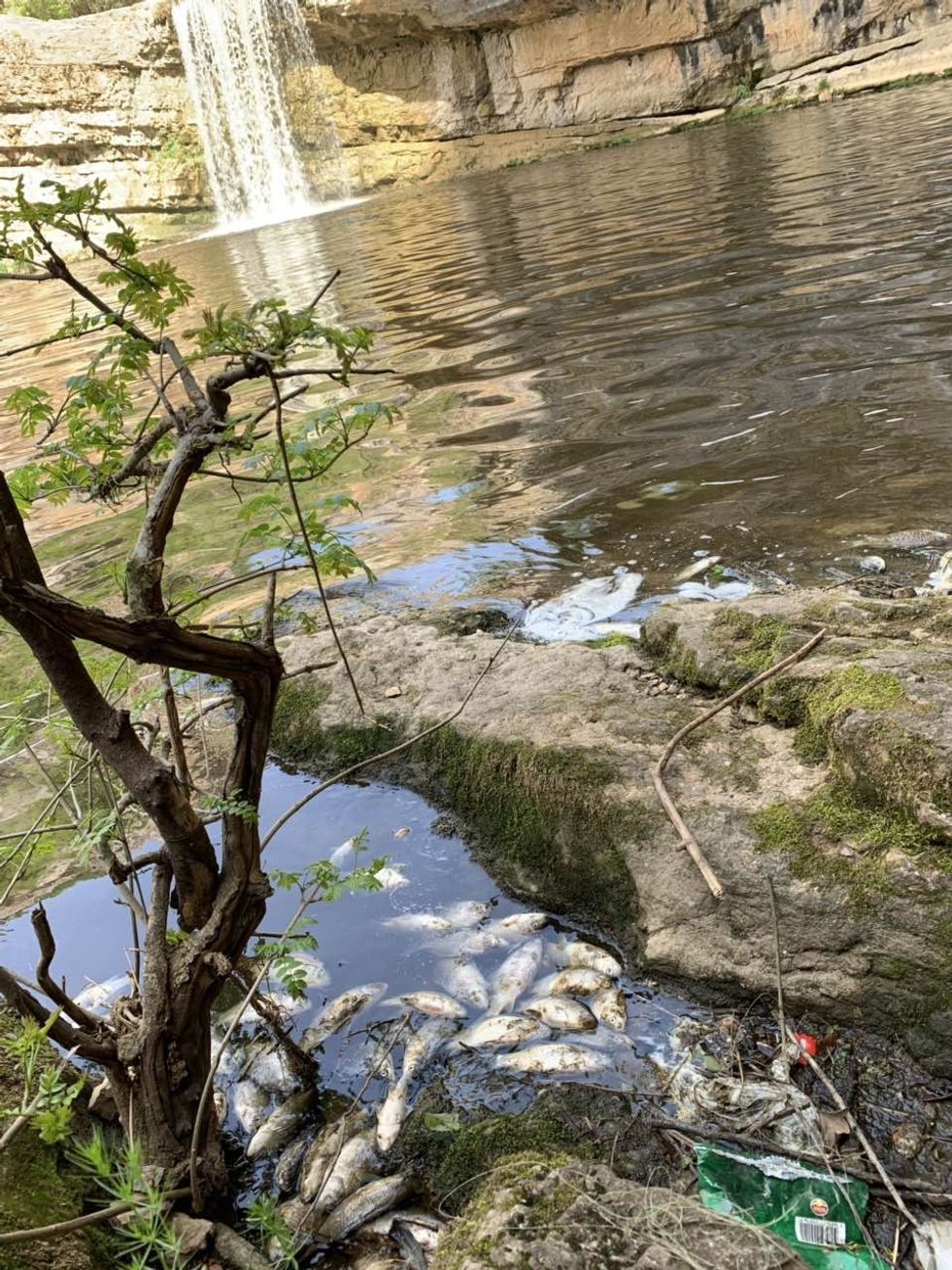 viber image 2019 04 25 16.37.31