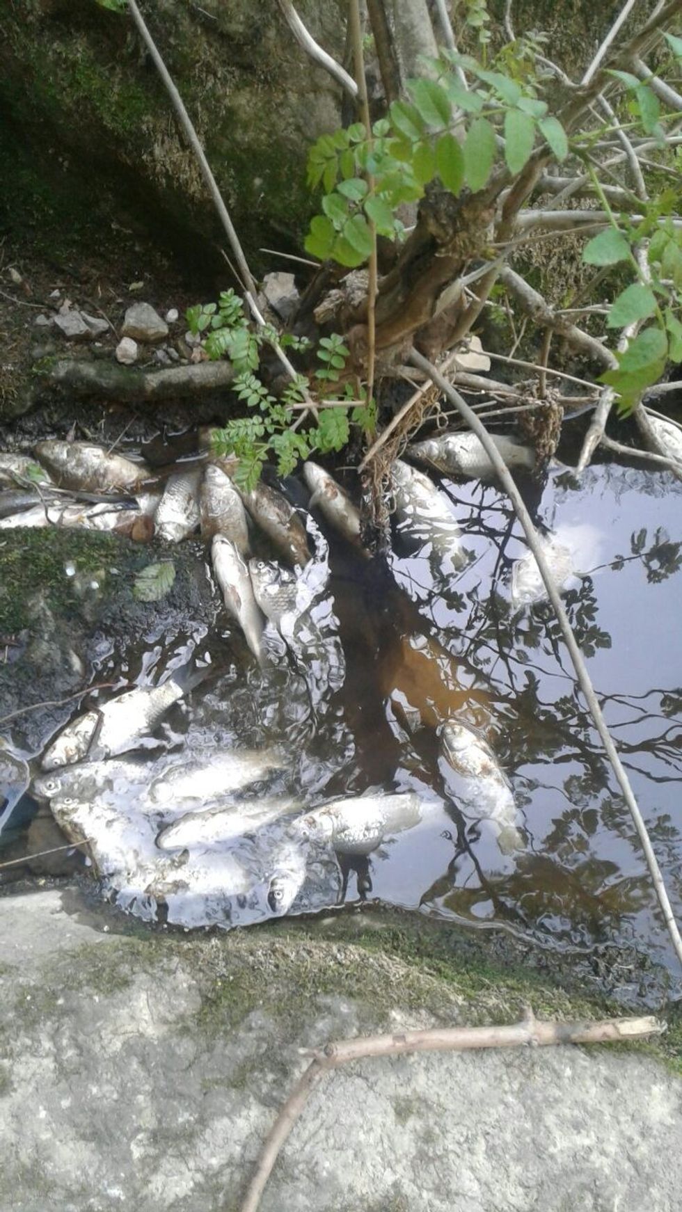 viber image 2019 04 25 17.12.26