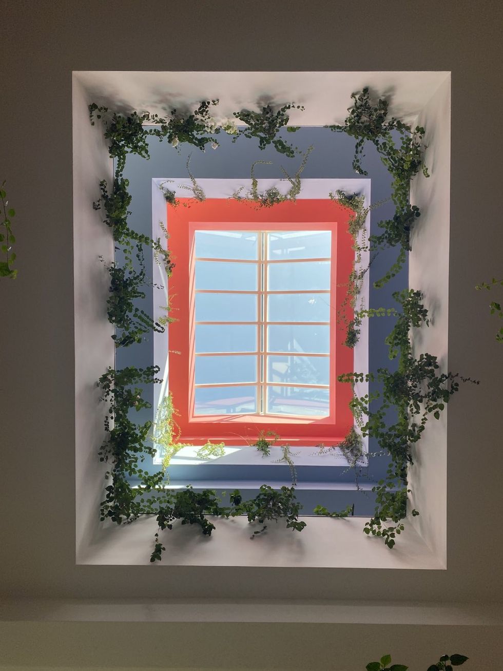 viber image 2020 09 01 16 36 10