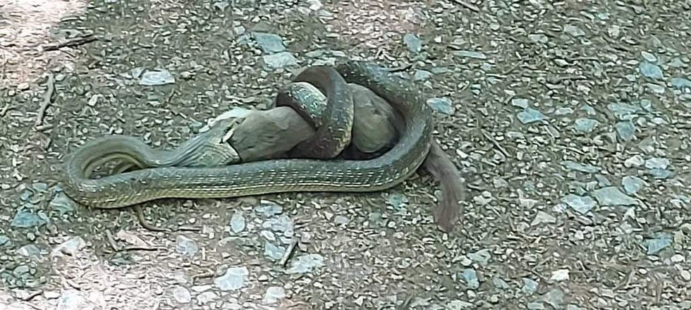 viber image 2022 07 25 15 20 35 882