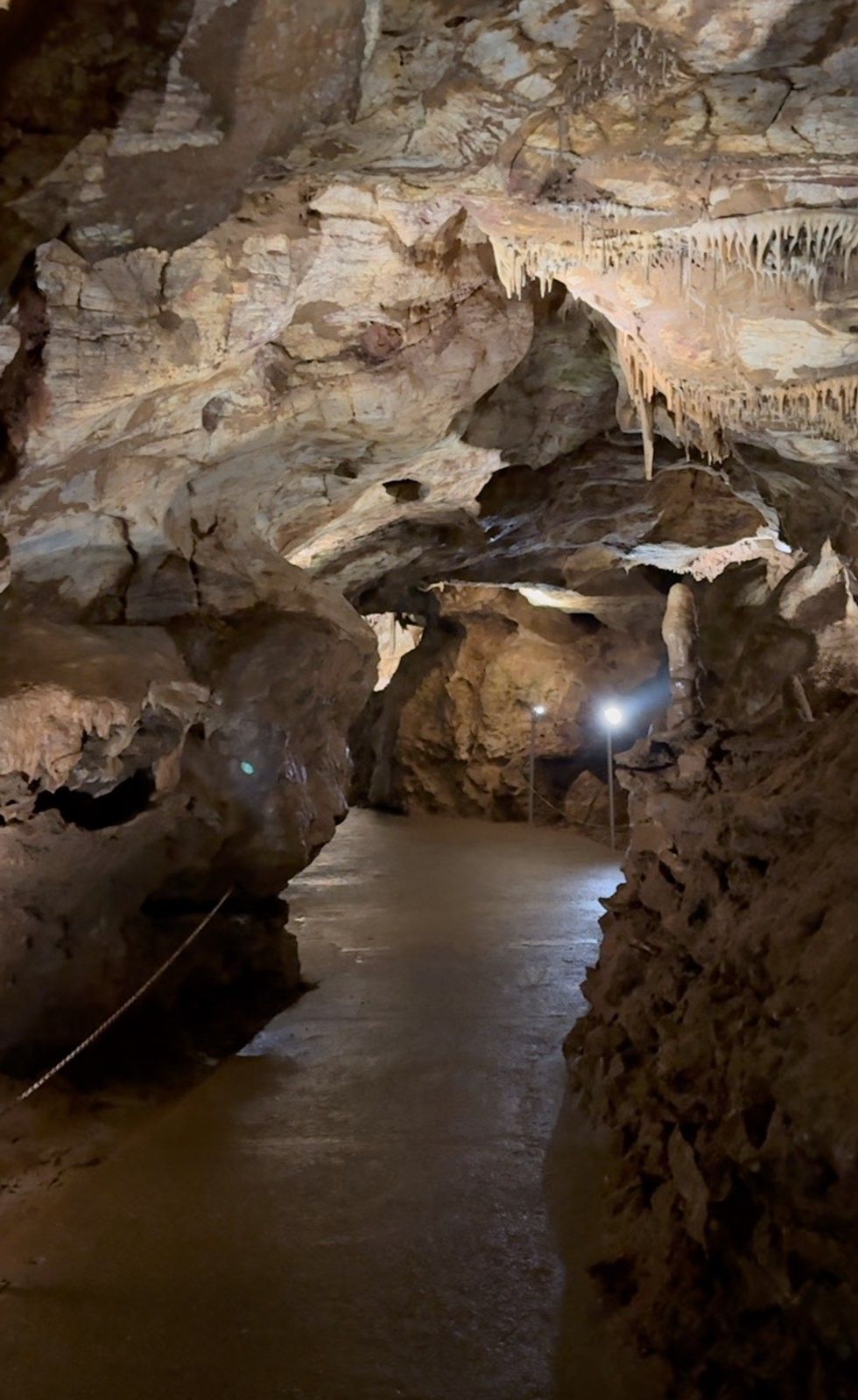 viber image 2024 11 15 13 10 40 075