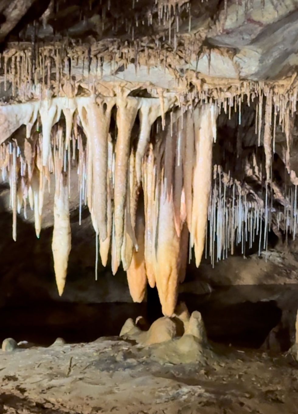 viber image 2024 11 15 13 10 40 144