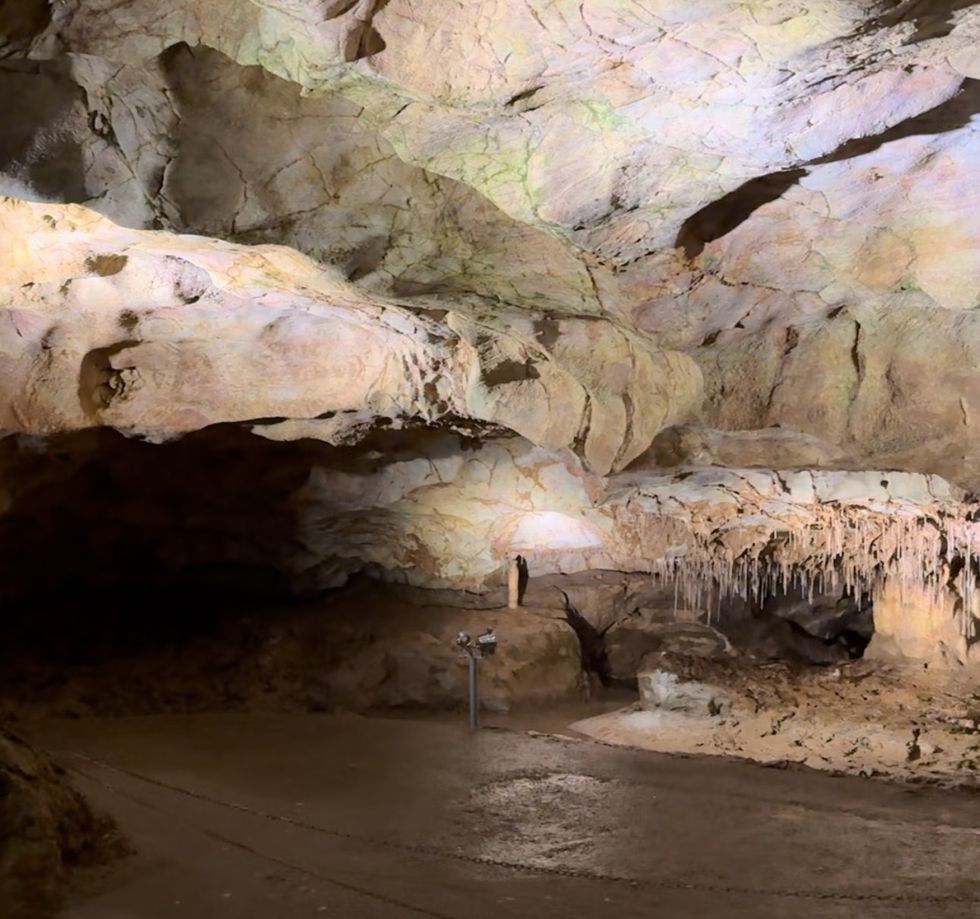 viber image 2024 11 15 13 10 40 204