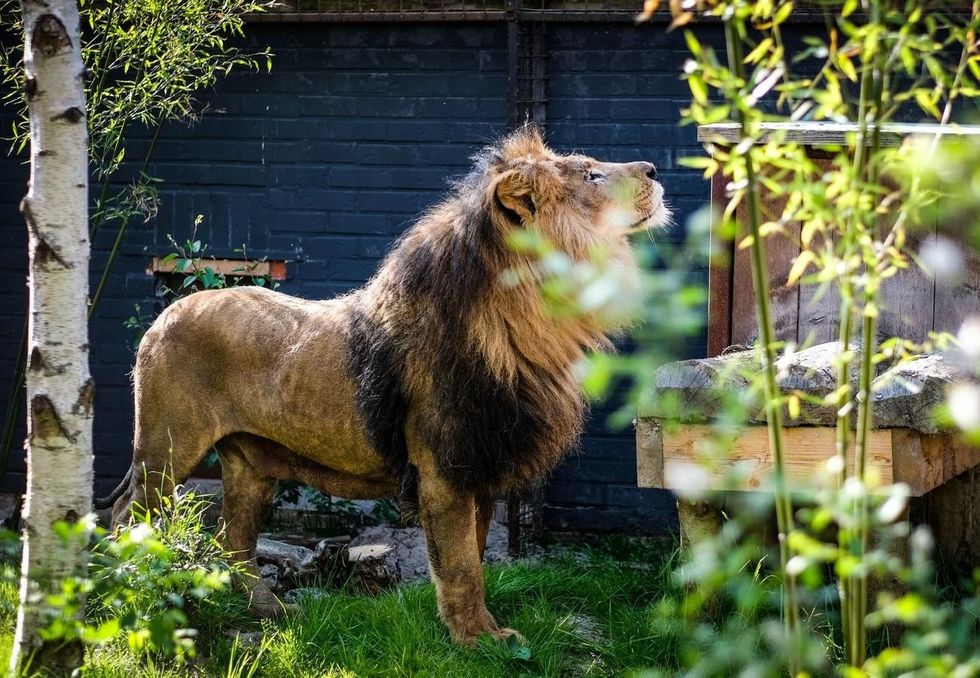 VIER PFOTEN 2019 05 09 020 1