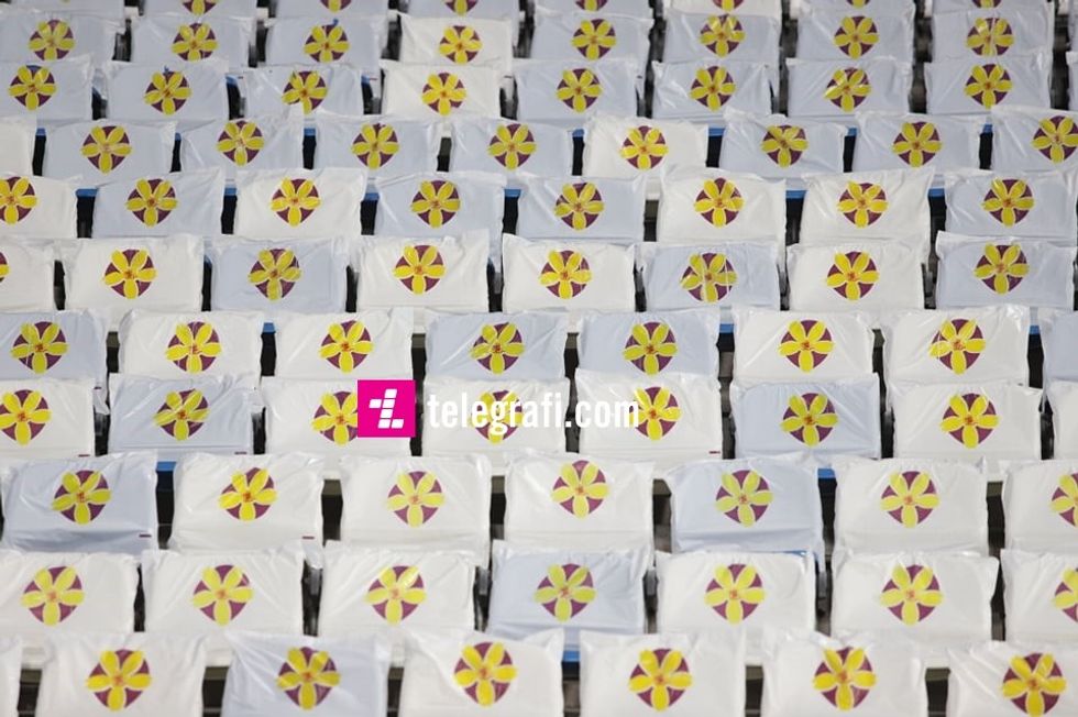 viktimat e dhunes 1 1