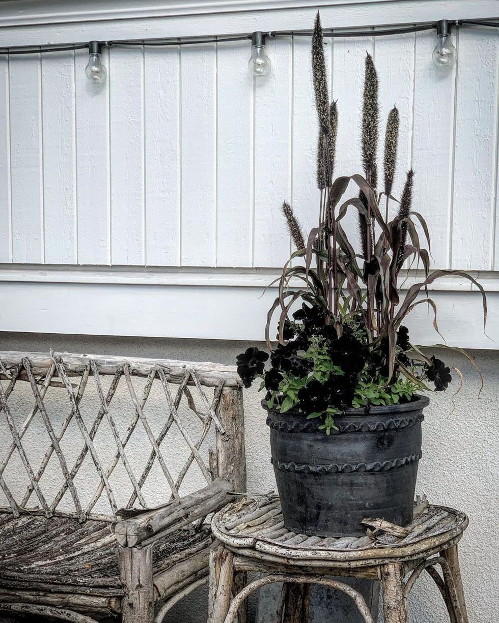 villarosenlund 1929 109803023 275207453577406 8395535829895459130 n