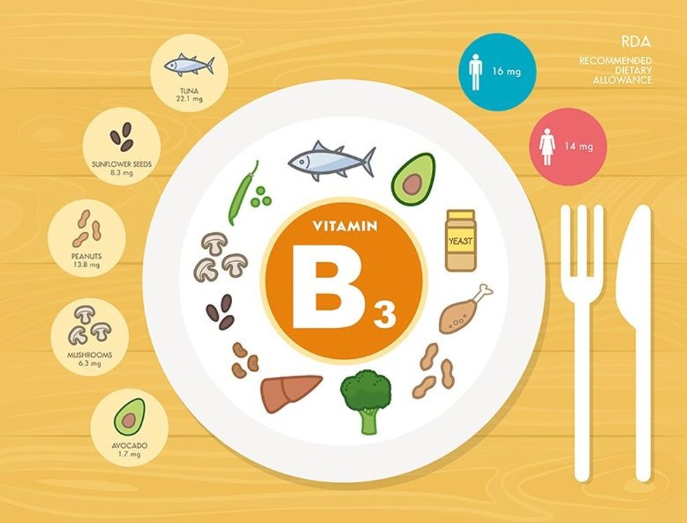 Vitamin B3 Niacin Infographic