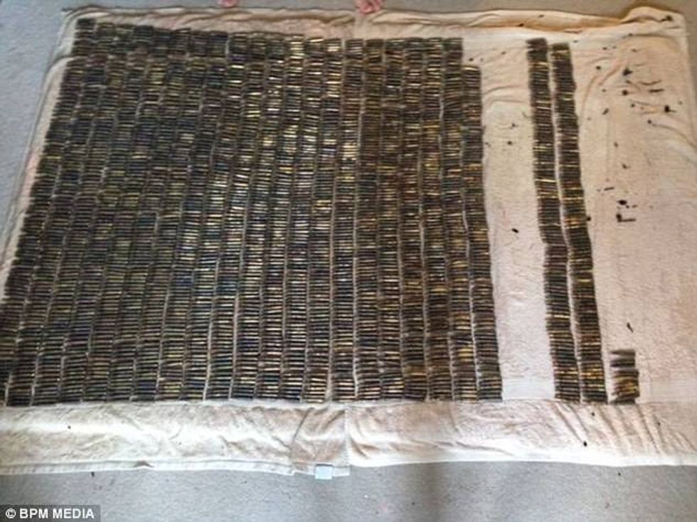 Vogëlushja bëri një zbulim të jashtëzakonshëm derisa luante me shkopin qe ka magnet foto 2