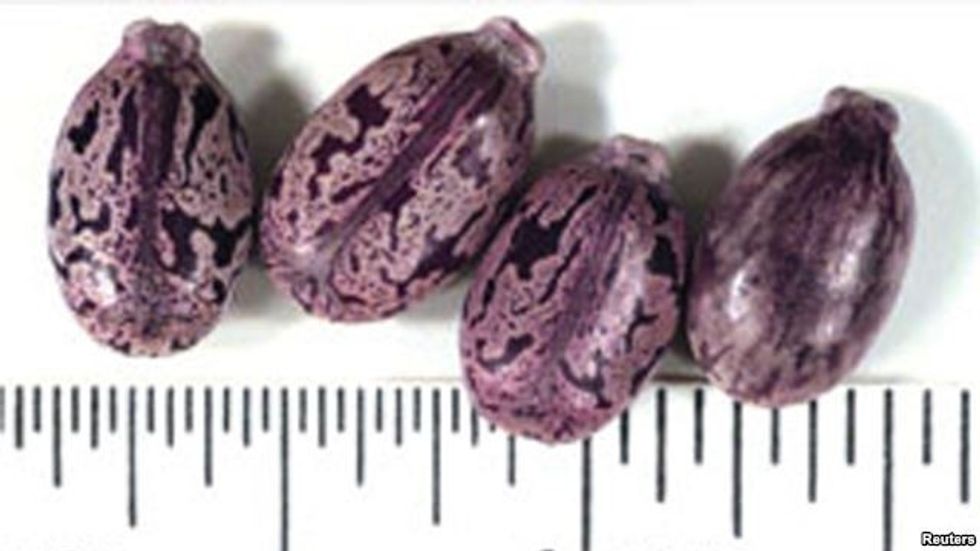 vrasje me stil t euml kgb s euml hd