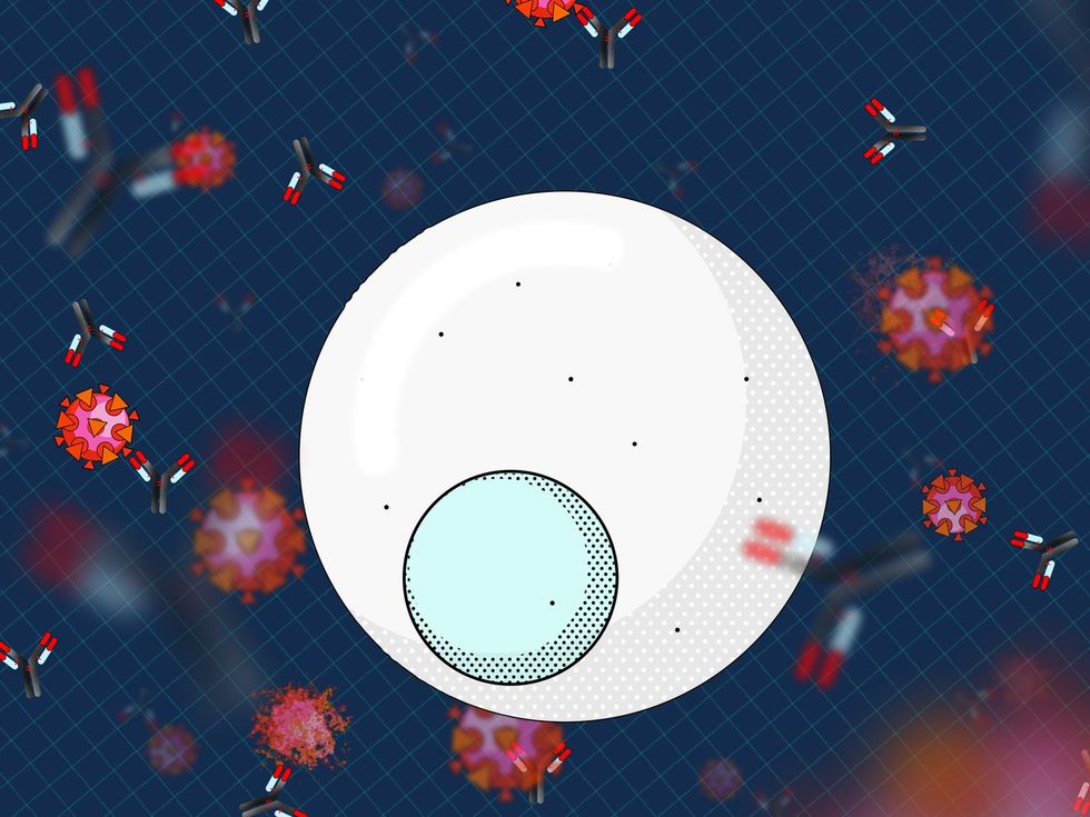 VRG AntiBodies Lede Still.0