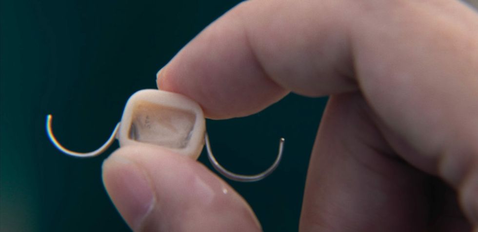 VS Netflix SquidGameE3001 2236 e1735310742675 scaled