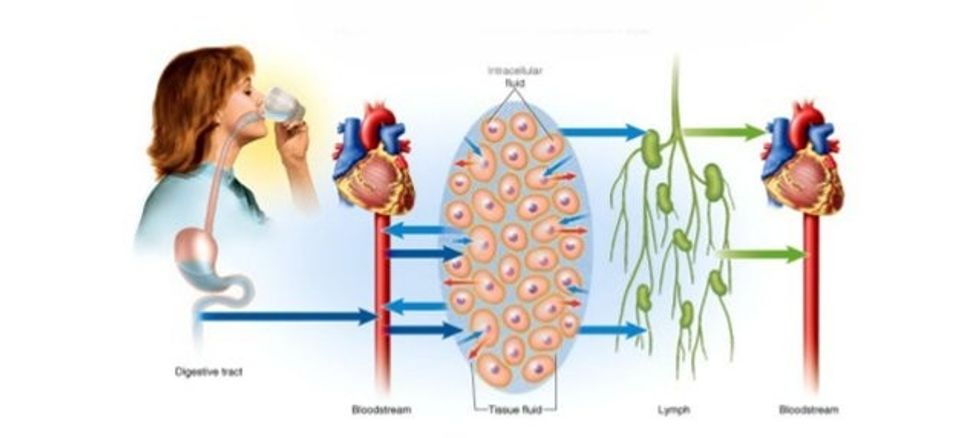 water electrolyte and acidbase balance 4 638