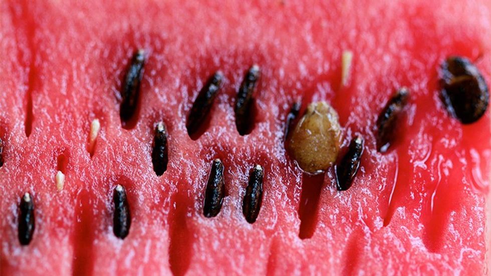 Watermelon-Seeds