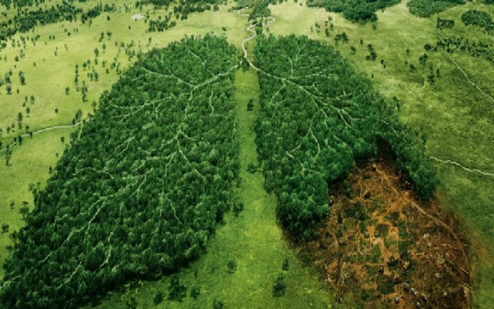 ways to save nature 1 1