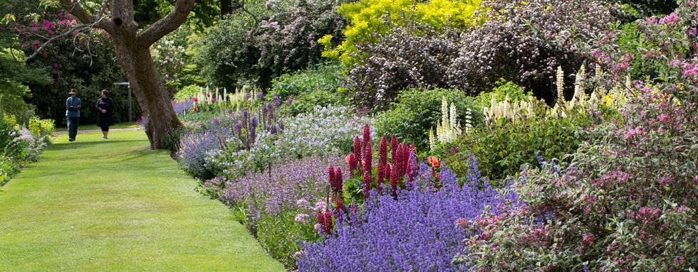 WC Savill Garden large