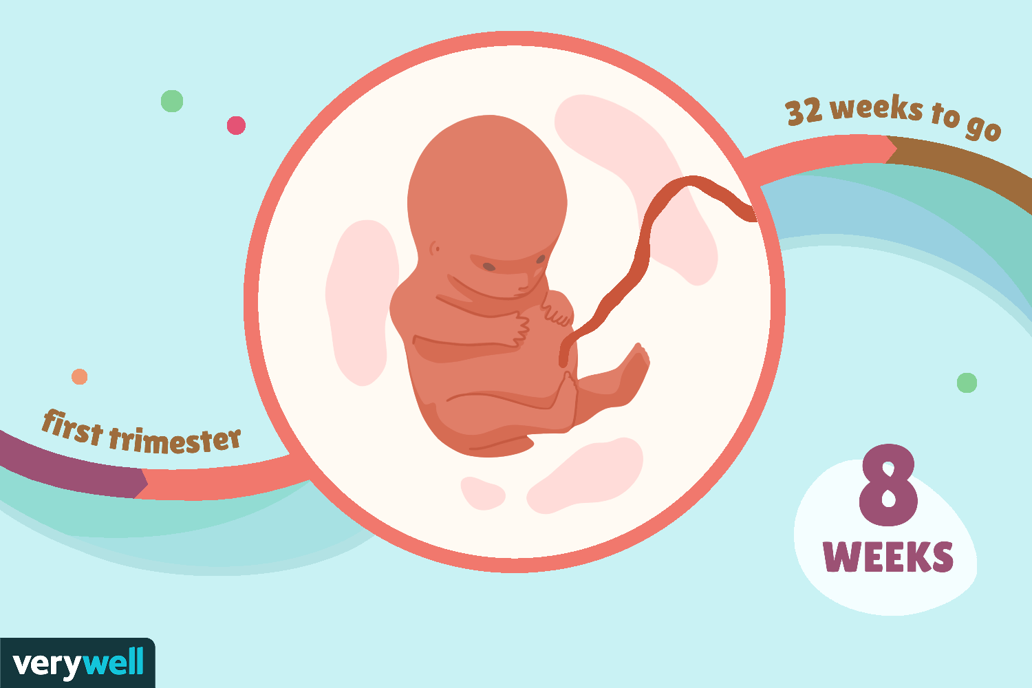 Week 08 Primary 72eb637696364c0caf67e932b2fac81f