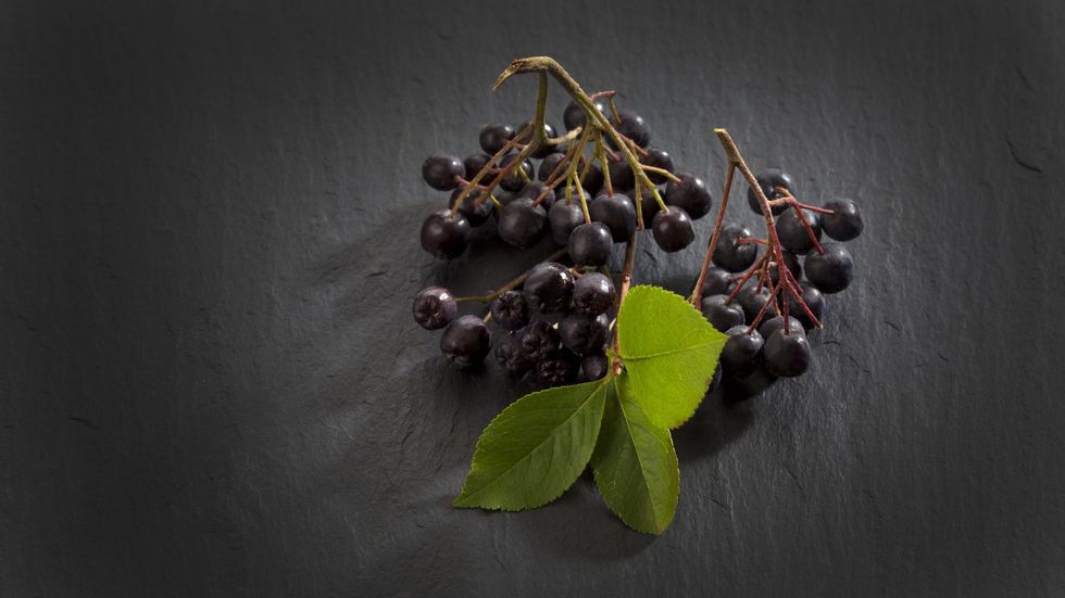 Westend61chokeberries 5c19270d46e0fb0001758303