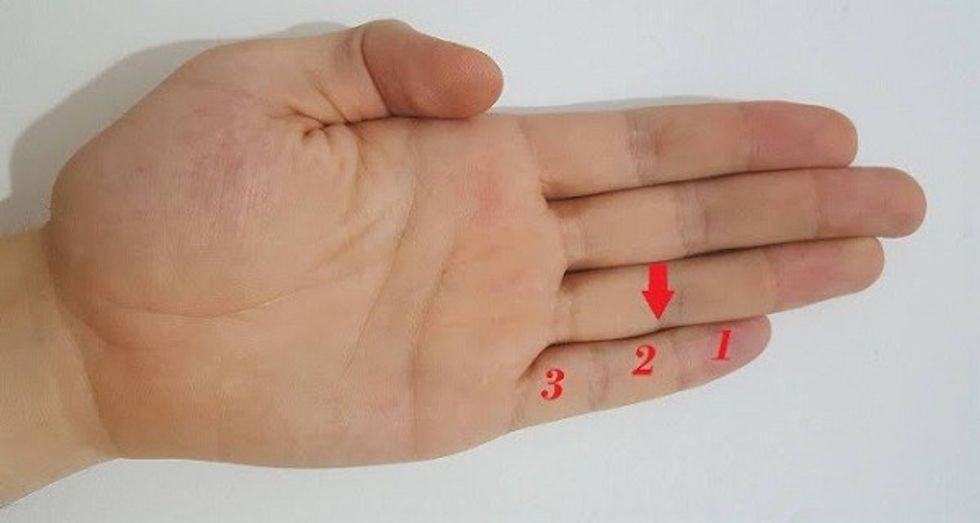 What These 3 Parts In The Little Finger Mean. If You Have Them … You Will Be Surprised