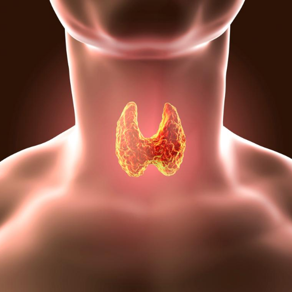Whats the Difference Between Hypothyroidism and Hyperthyroidism