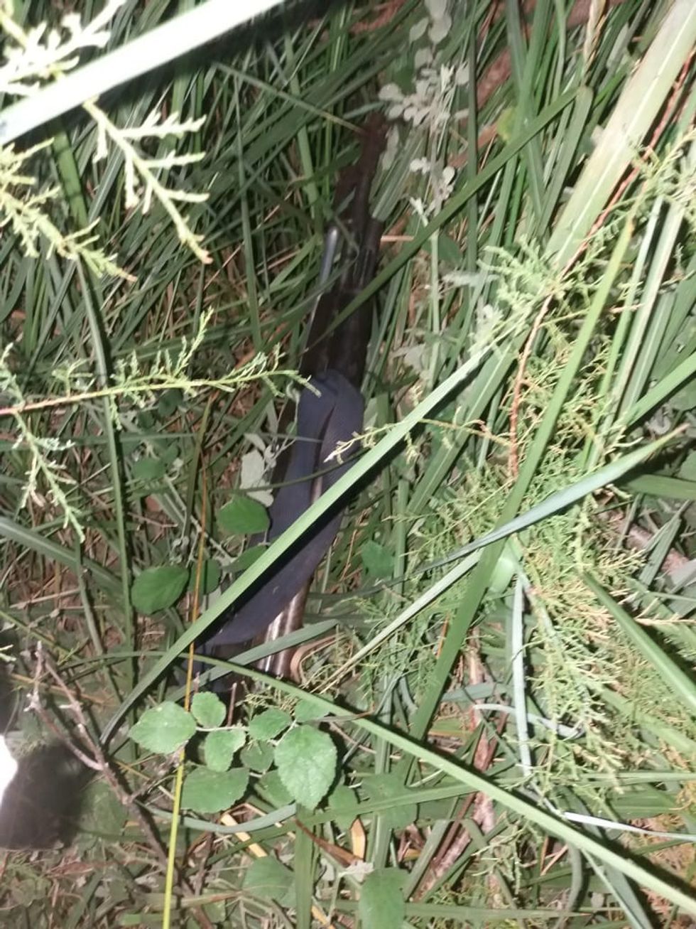 WhatsApp Image 2018 08 11 at 07.03.59 1