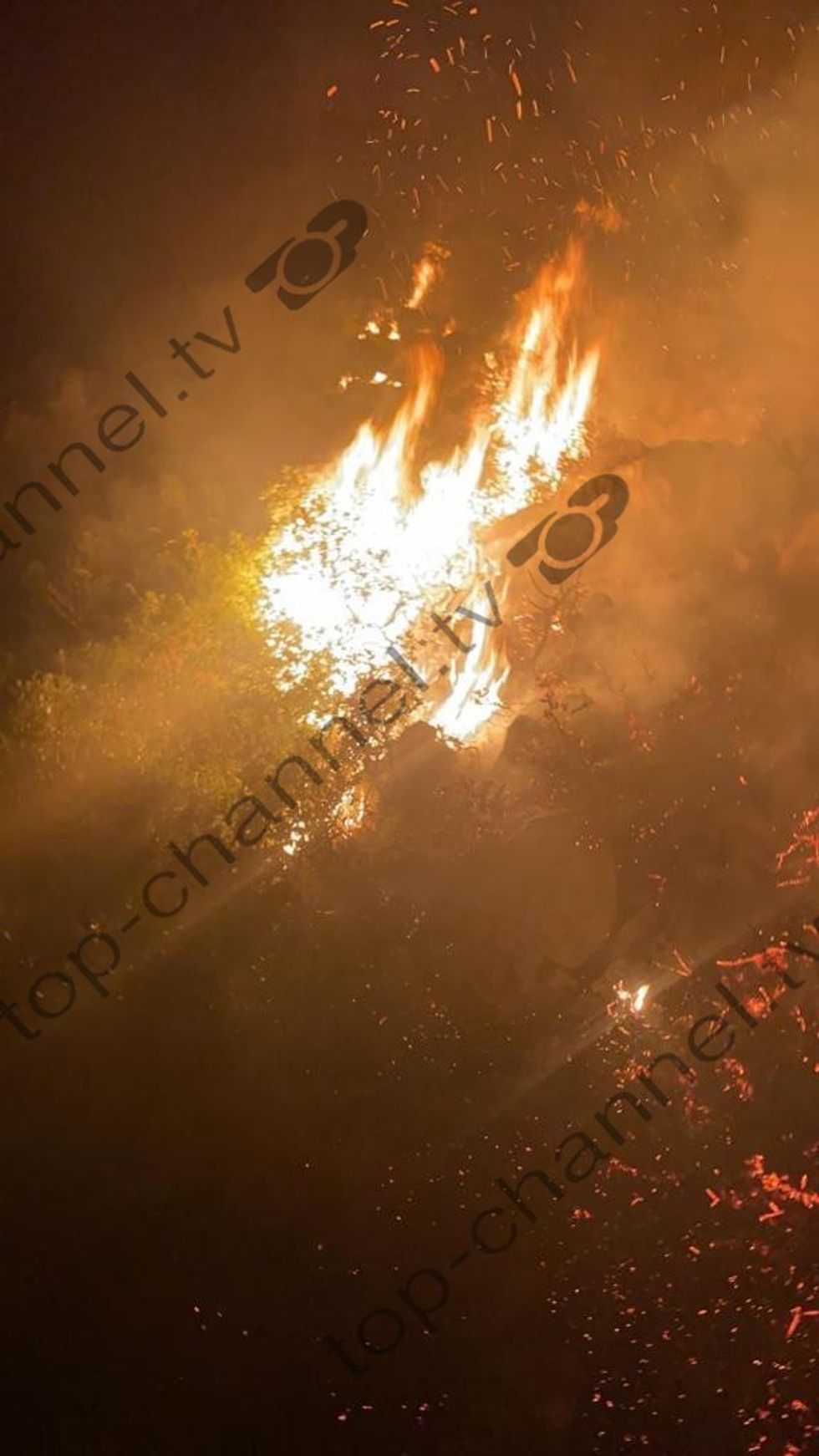 WhatsApp Image 2021 08 03 at 08.06.45