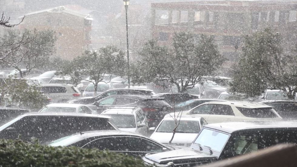 WhatsApp Image 2024 02 11 at 14.50.11