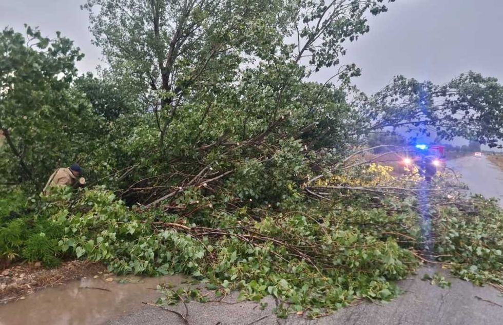 WhatsApp Image 2024 08 26 at 20.26.21 e1724697022772 1