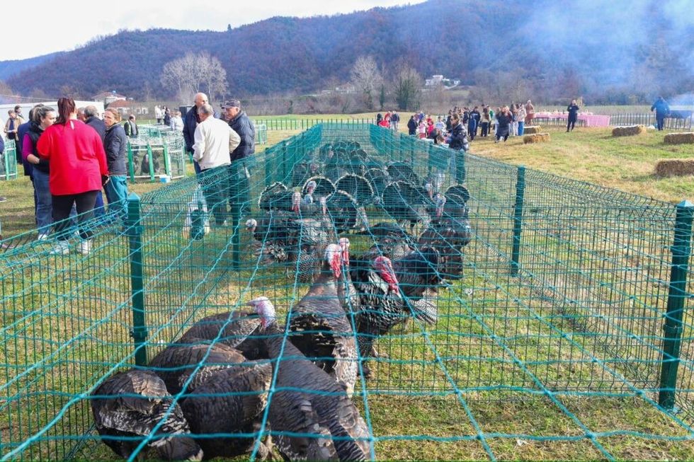 WhatsApp Image 2024 12 22 at 10.11.54 1