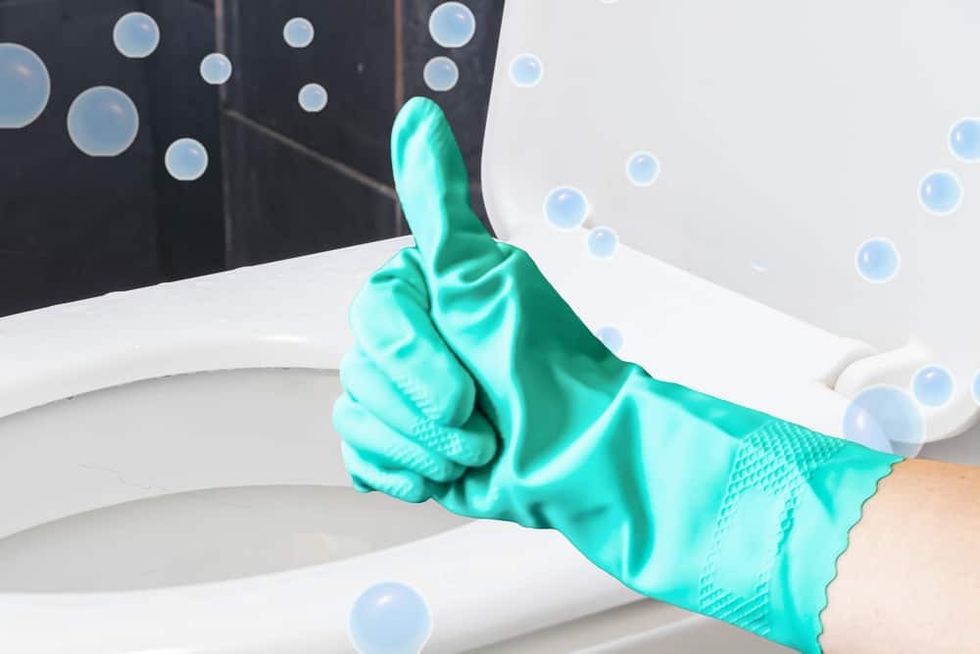 Why Take Time to Keep the Toilet Seat Sparkling