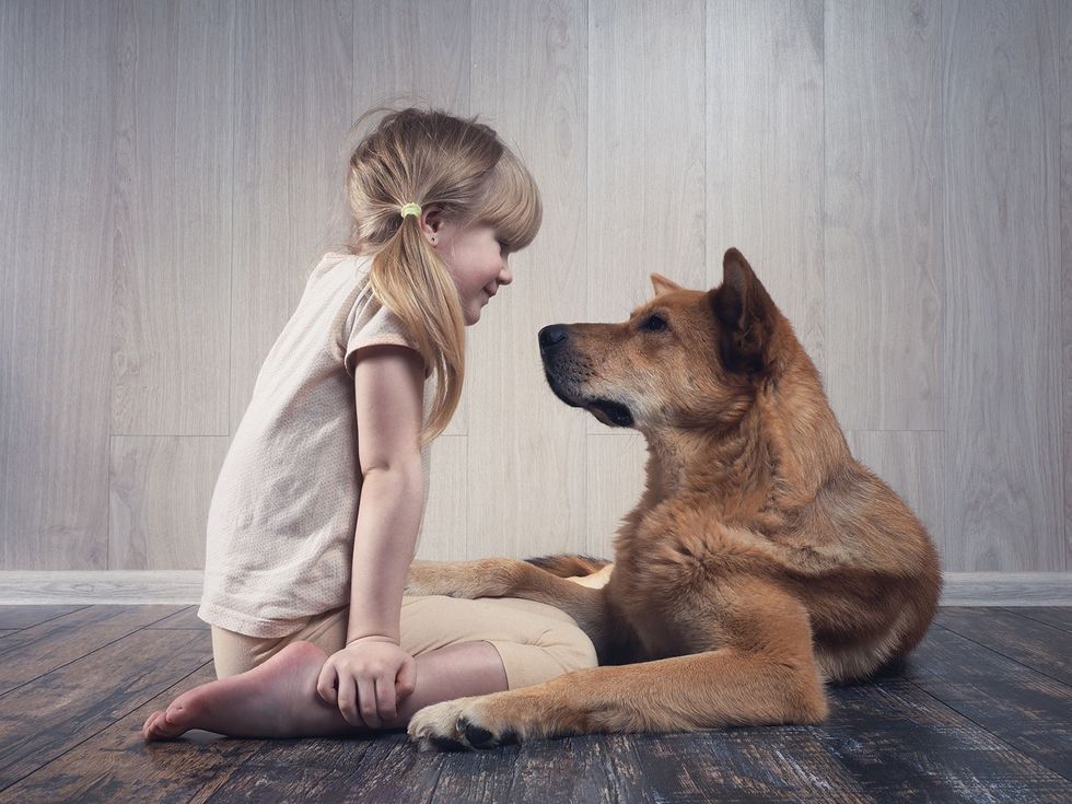 Why talk to your dog article