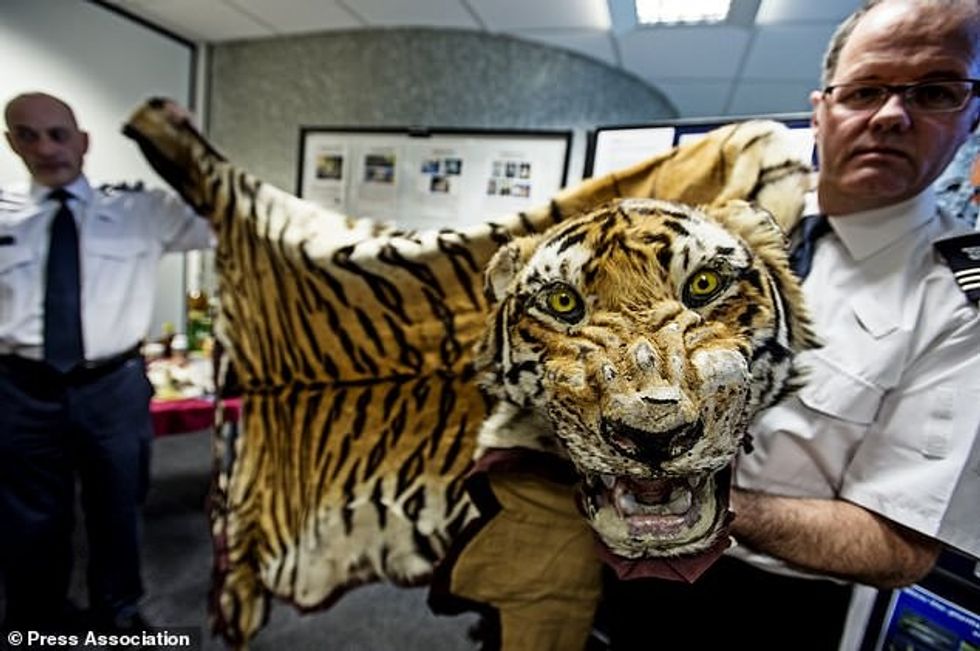 wire 5556394 1540857960 106