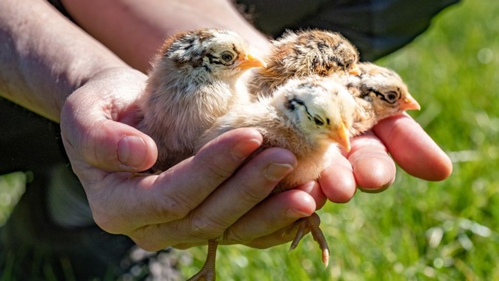 wJ4ikZcfzAeiRGBhWABec8