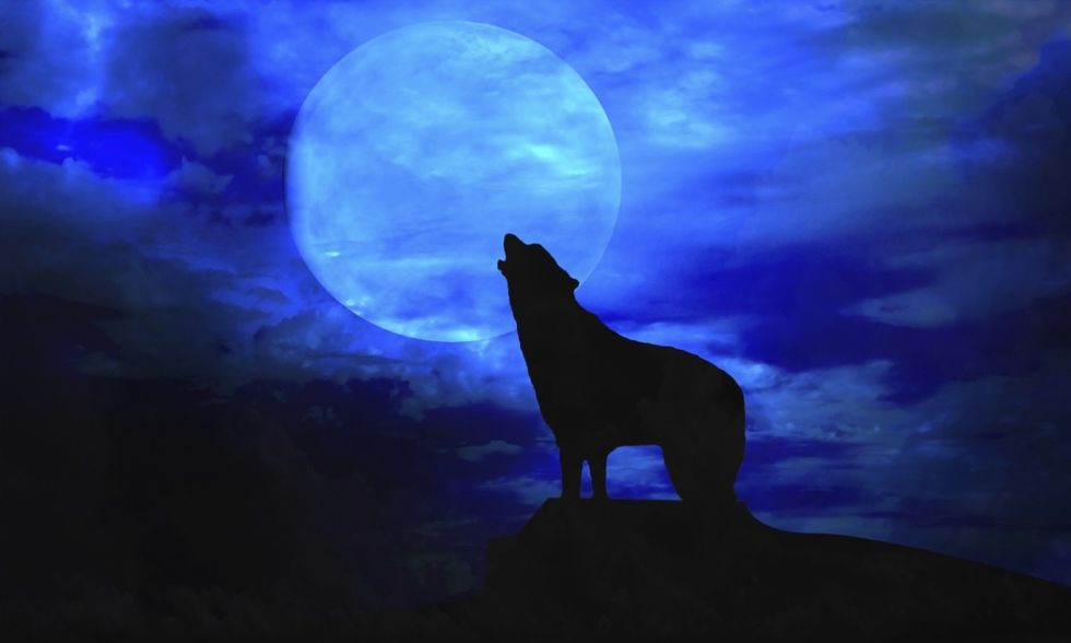 wolf full moon