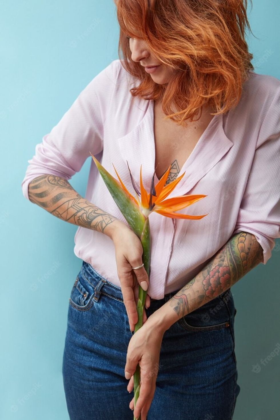 woman hold one orange flower strelitzia hand blue background 338799 7517