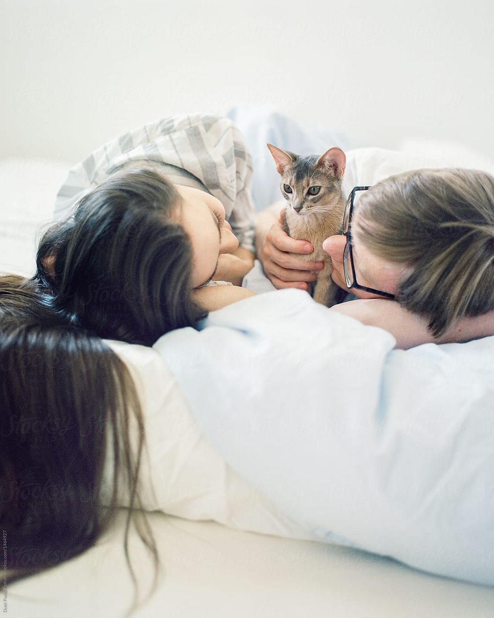 woman sleeping cat bed header.20180807203529605