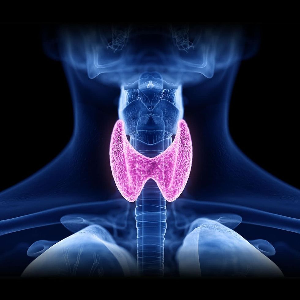 World Thyroid Day