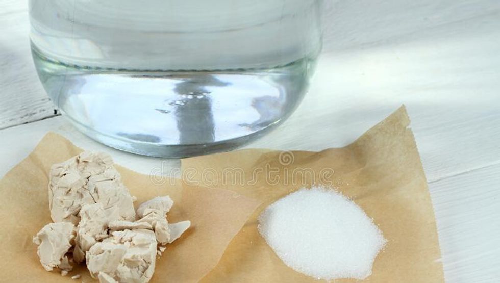yeast sugar glass water good plant fertilization eco friendly natural way ho