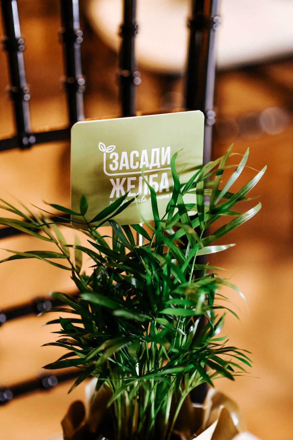 zasadi zelba press 4