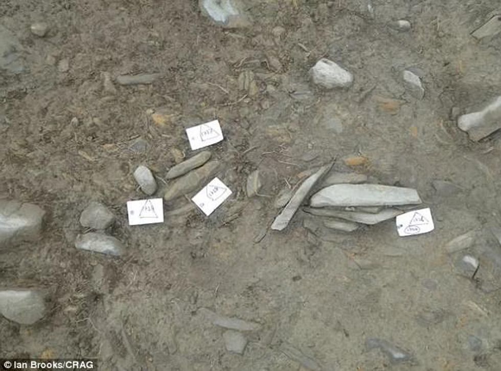 Zbulohen veglat misterioze nga guri të vjetra më se 4500 vjet foto 2