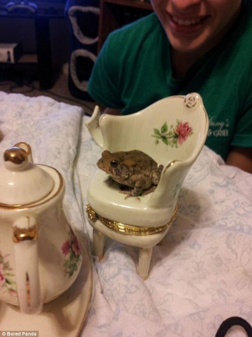 Zgjimi i çuditshëm pas një nate me shumë konsum alkooli foto 4