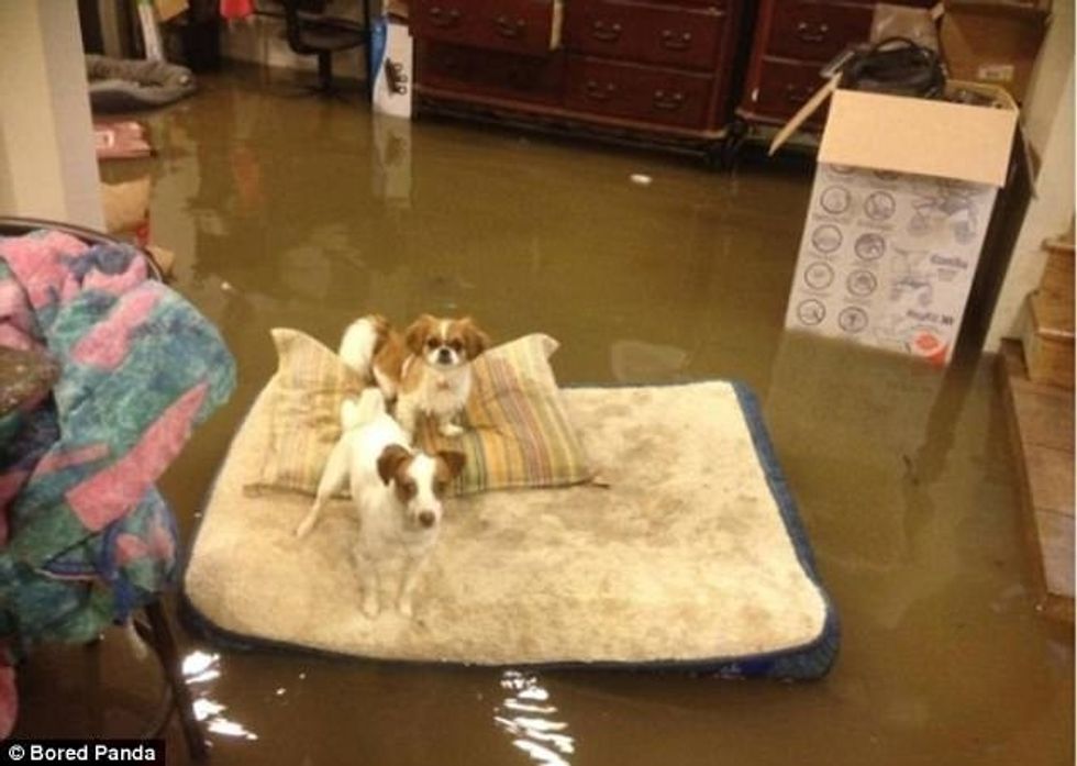 Zgjimi i çuditshëm pas një nate me shumë konsum alkooli foto 6