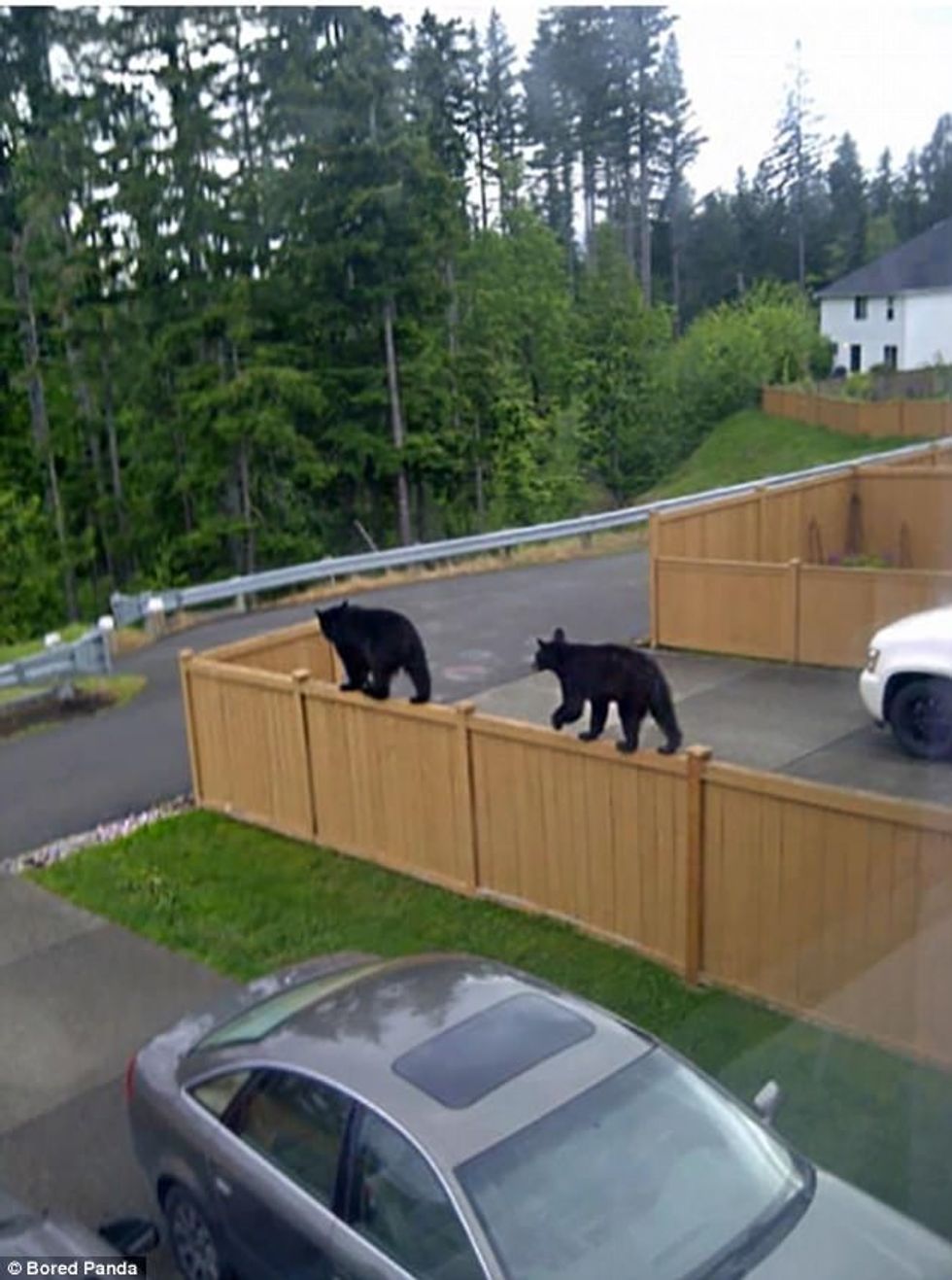 Zgjimi i çuditshëm pas një nate me shumë konsum alkooli foto 7