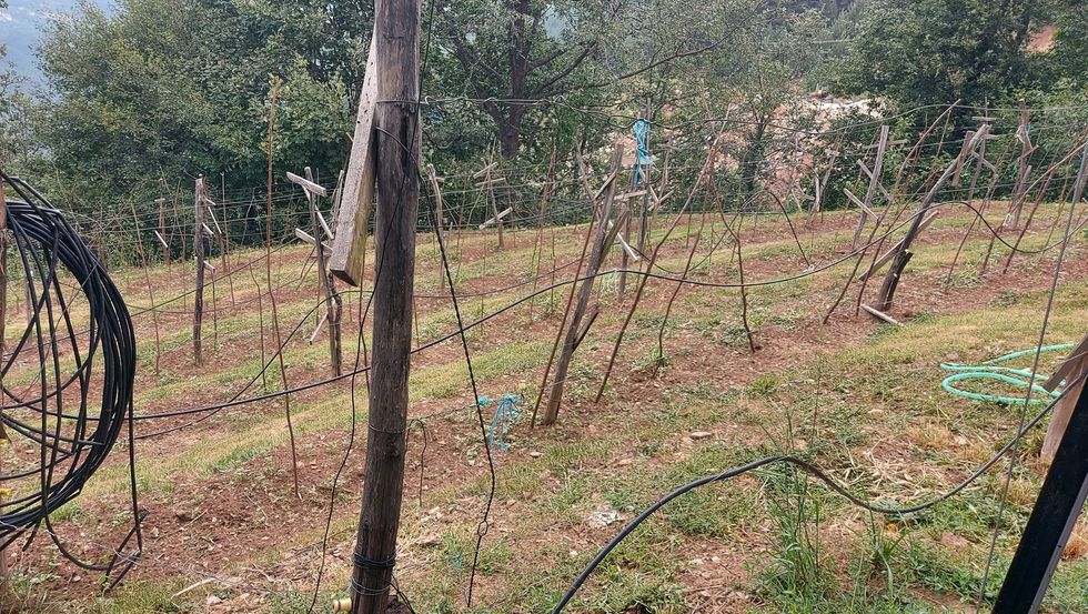 Zhupe Prizren deme bujqesi