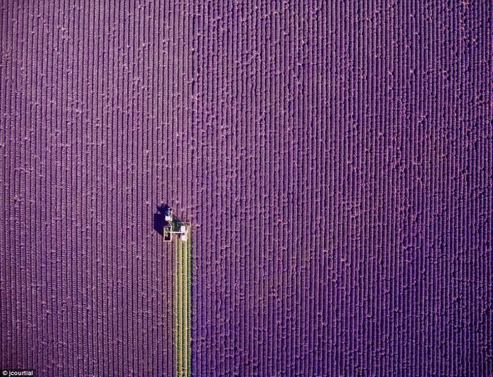 Zhvillohet për herë të katërt gara për fotografinë më të mirë nga droni foto 2