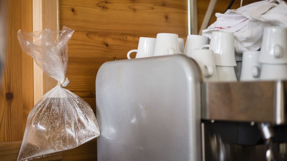 zip lock with water and pennies