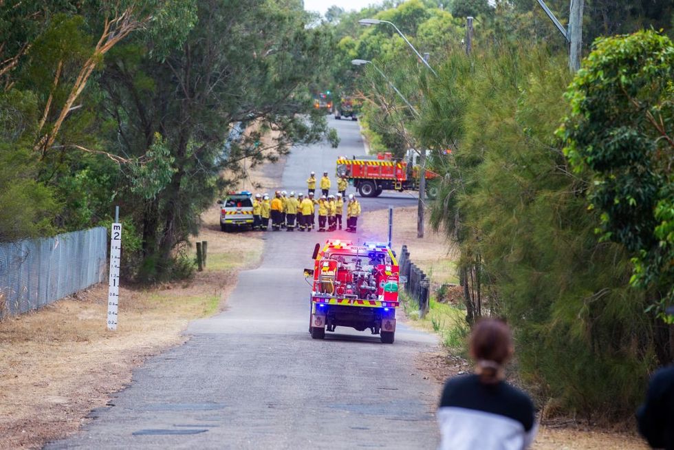 Zjarrfikesaustrali 1