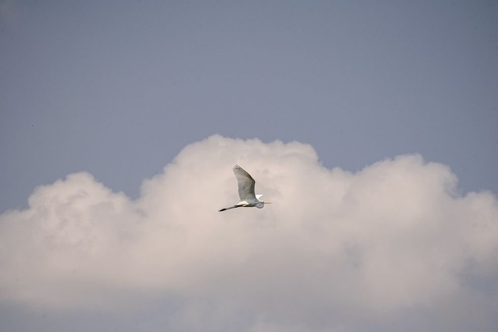 ZKP ZKM 23 7 2024 14 1