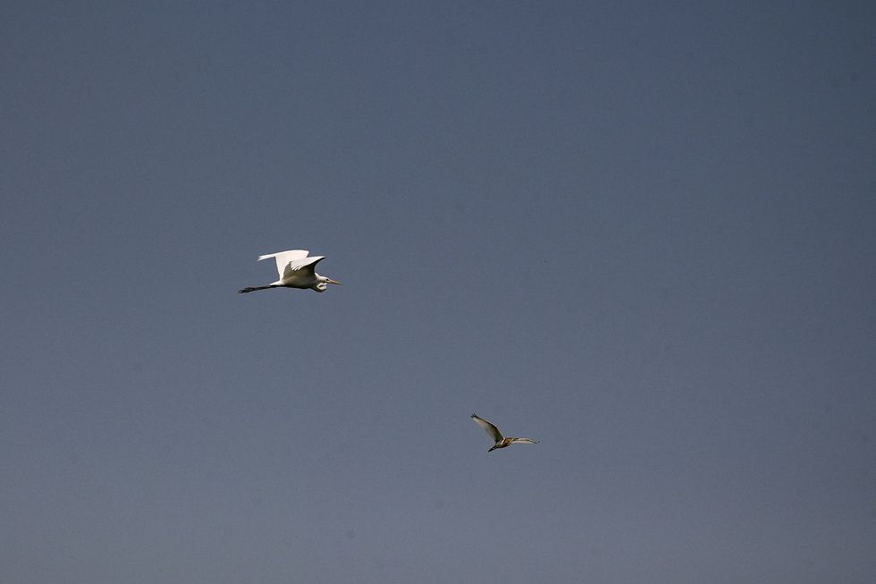 ZKP ZKM 23 7 2024 15 1